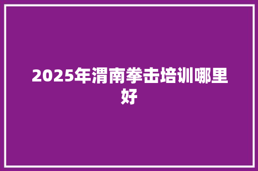 2025年渭南拳击培训哪里好