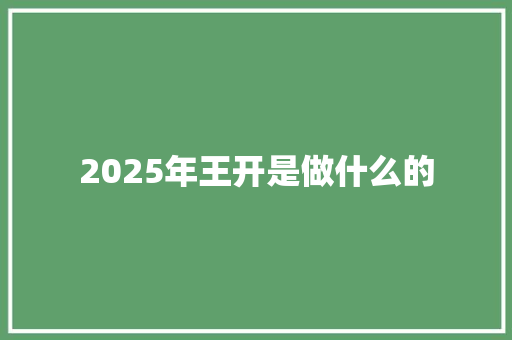 2025年王开是做什么的