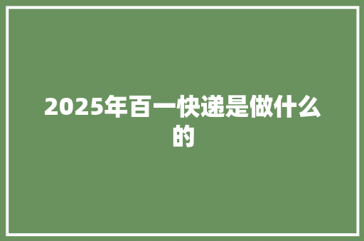 2025年百一快递是做什么的