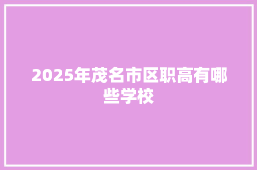 2025年茂名市区职高有哪些学校