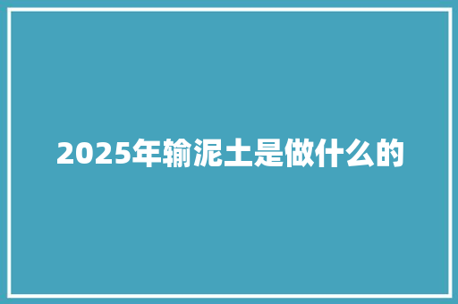 2025年输泥土是做什么的