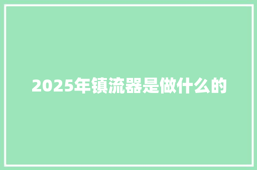 2025年镇流器是做什么的 词汇积累