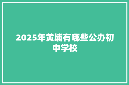 2025年黄埔有哪些公办初中学校