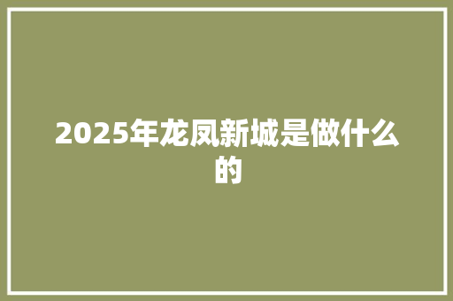 2025年龙凤新城是做什么的