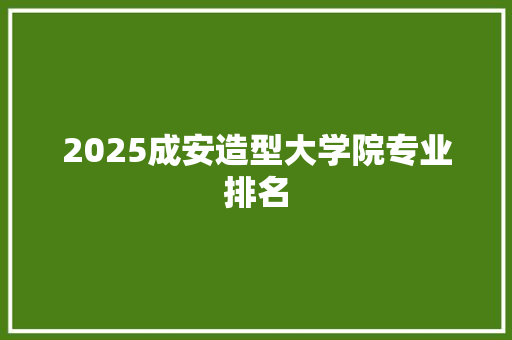 2025成安造型大学院专业排名 范文赏析