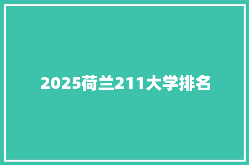 2025荷兰211大学排名