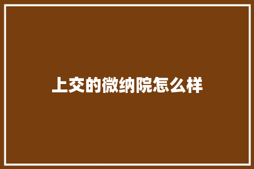 上交的微纳院怎么样