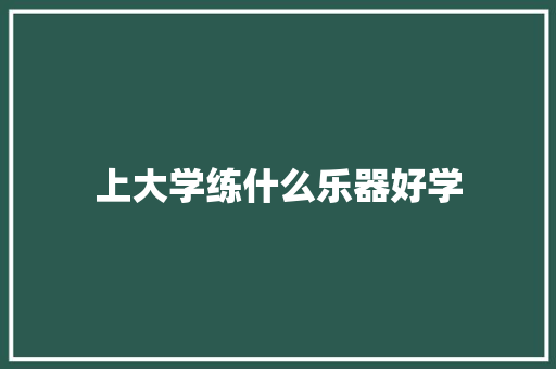 上大学练什么乐器好学