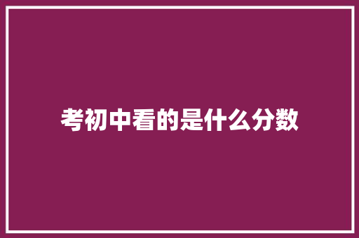 考初中看的是什么分数