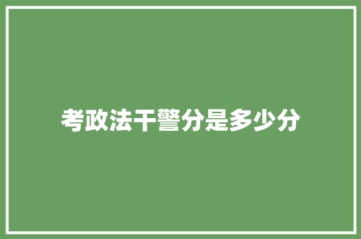 考政法干警分是多少分 写作技巧