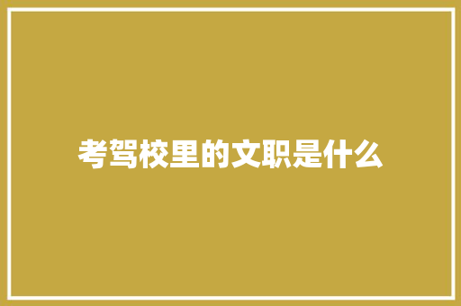 考驾校里的文职是什么