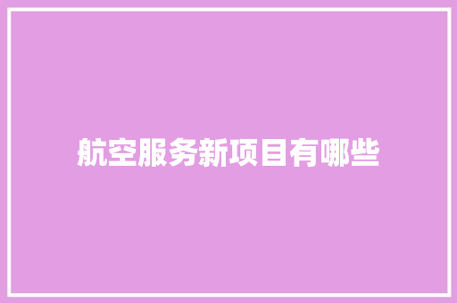 航空服务新项目有哪些