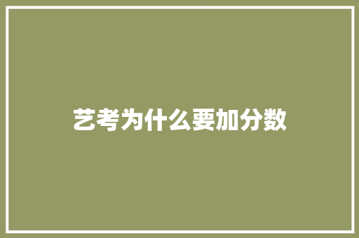 艺考为什么要加分数