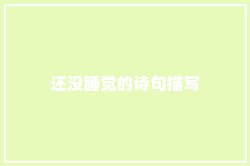 还没睡觉的诗句描写