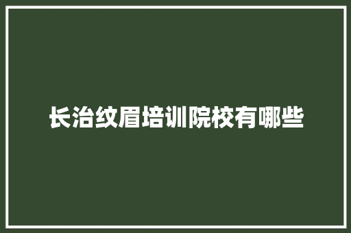 长治纹眉培训院校有哪些