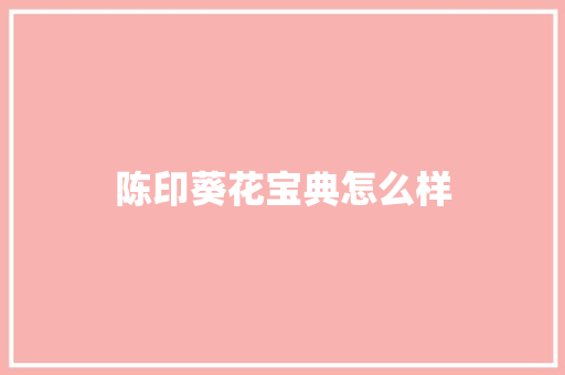 陈印葵花宝典怎么样