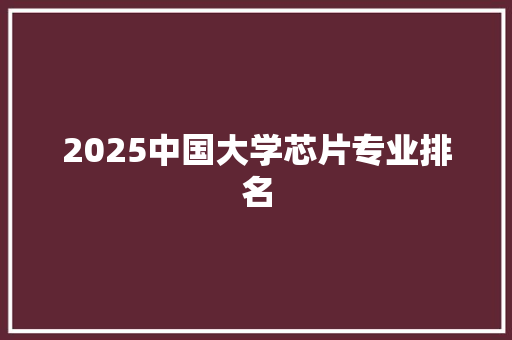 2025中国大学芯片专业排名