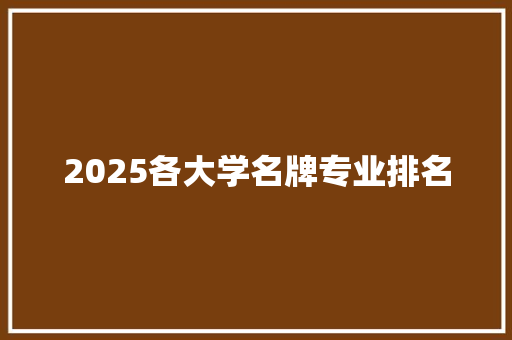 2025各大学名牌专业排名