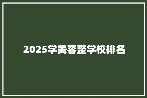 2025学美容整学校排名