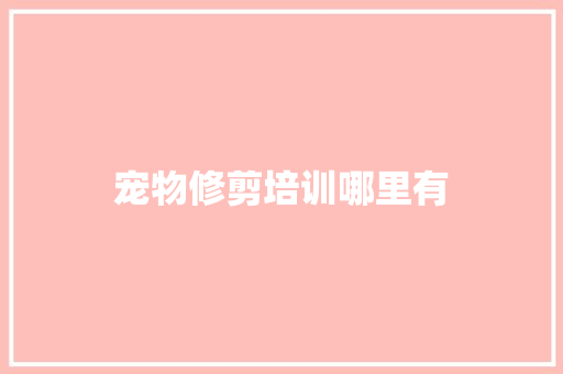 宠物修剪培训哪里有