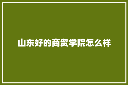 山东好的商贸学院怎么样