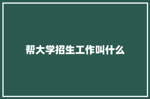 帮大学招生工作叫什么