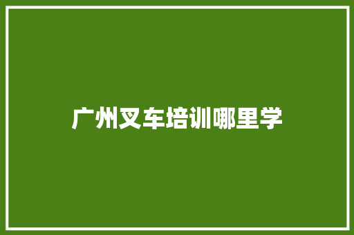 广州叉车培训哪里学
