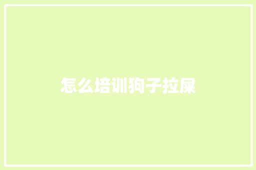 怎么培训狗子拉屎