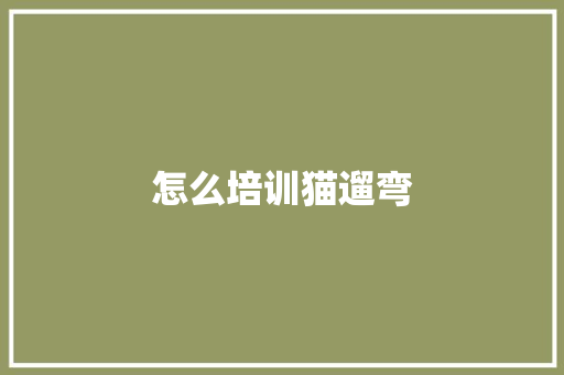 怎么培训猫遛弯