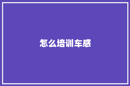 怎么培训车感