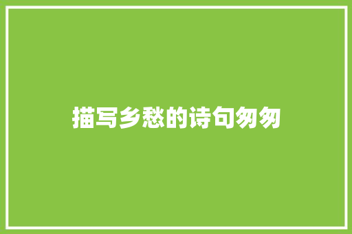 描写乡愁的诗句匆匆