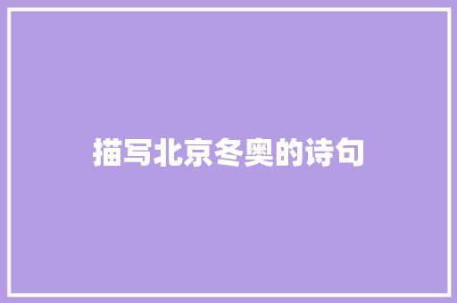 描写北京冬奥的诗句