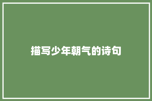 描写少年朝气的诗句