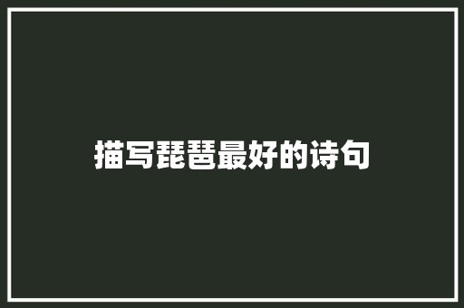 描写琵琶最好的诗句