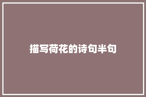 描写荷花的诗句半句