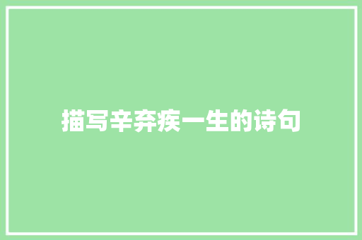 描写辛弃疾一生的诗句