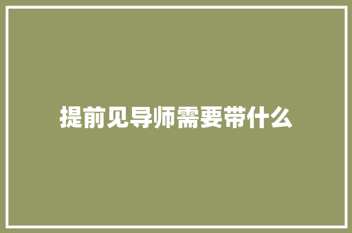 提前见导师需要带什么