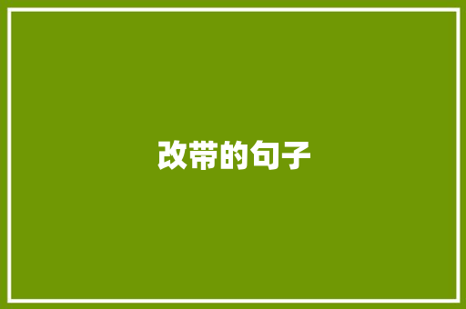 改带的句子