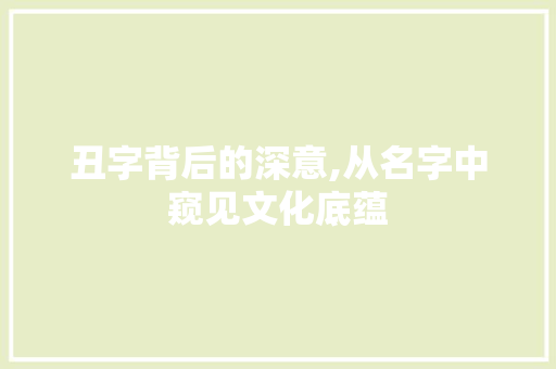 丑字背后的深意,从名字中窥见文化底蕴