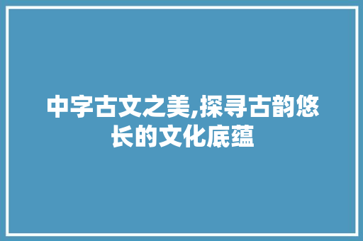 中字古文之美,探寻古韵悠长的文化底蕴