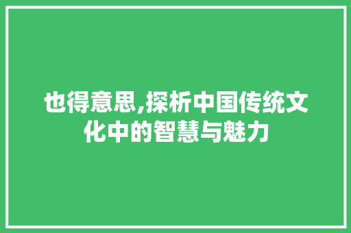 也得意思,探析中国传统文化中的智慧与魅力