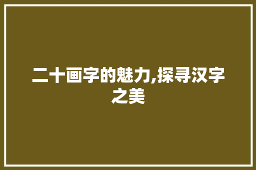 二十画字的魅力,探寻汉字之美