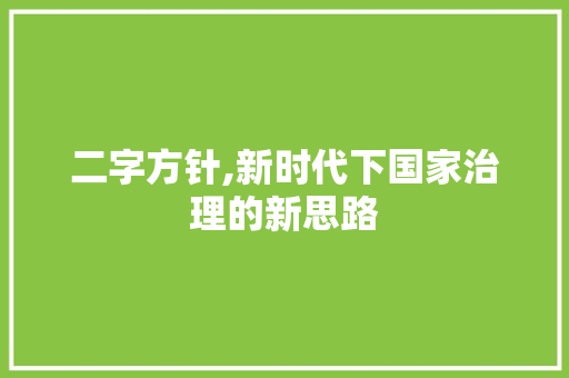 二字方针,新时代下国家治理的新思路