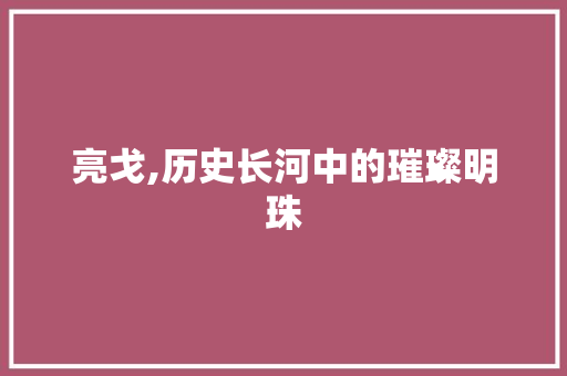 亮戈,历史长河中的璀璨明珠 简历模板