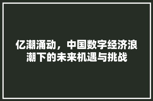 亿潮涌动，中国数字经济浪潮下的未来机遇与挑战