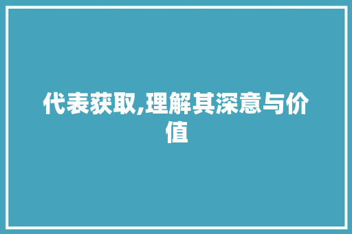 代表获取,理解其深意与价值