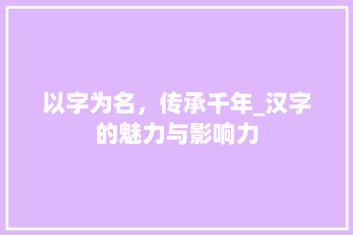 以字为名，传承千年_汉字的魅力与影响力