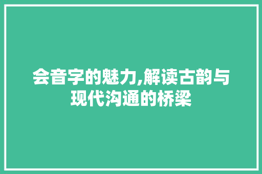 会音字的魅力,解读古韵与现代沟通的桥梁