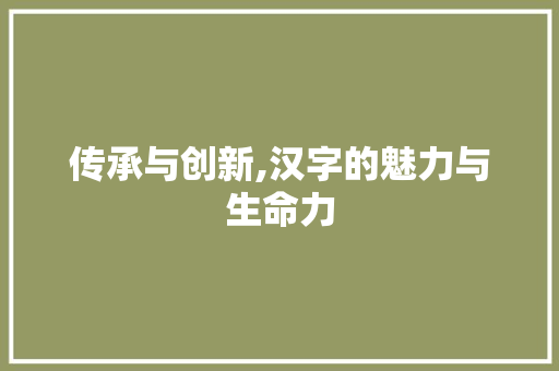 传承与创新,汉字的魅力与生命力