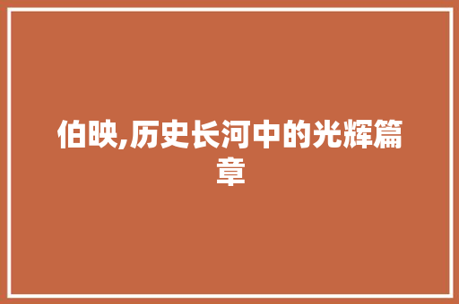 伯映,历史长河中的光辉篇章